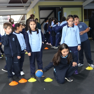 Día de la Actividad Física